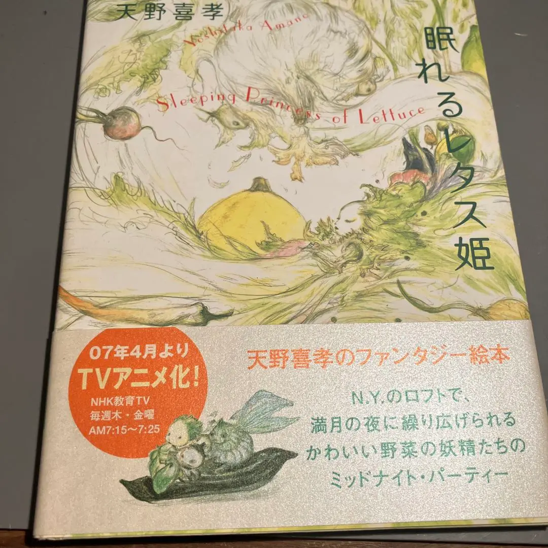 【未使用　希少品】天野喜孝名画ものがたり　シンデレラ　眠れるレタス姫　美品 天野喜孝名画ものがたり シンデレラ | 天野 喜孝, 木村 由利子