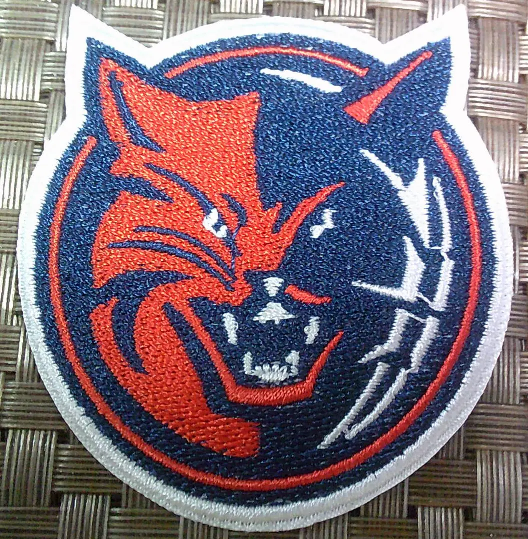 NBA ボブキャッツ　超オーバーサイズ　レプリカユニフォーム NBA ボブキャッツ 超オーバーサイズ レプリカユニフォーム