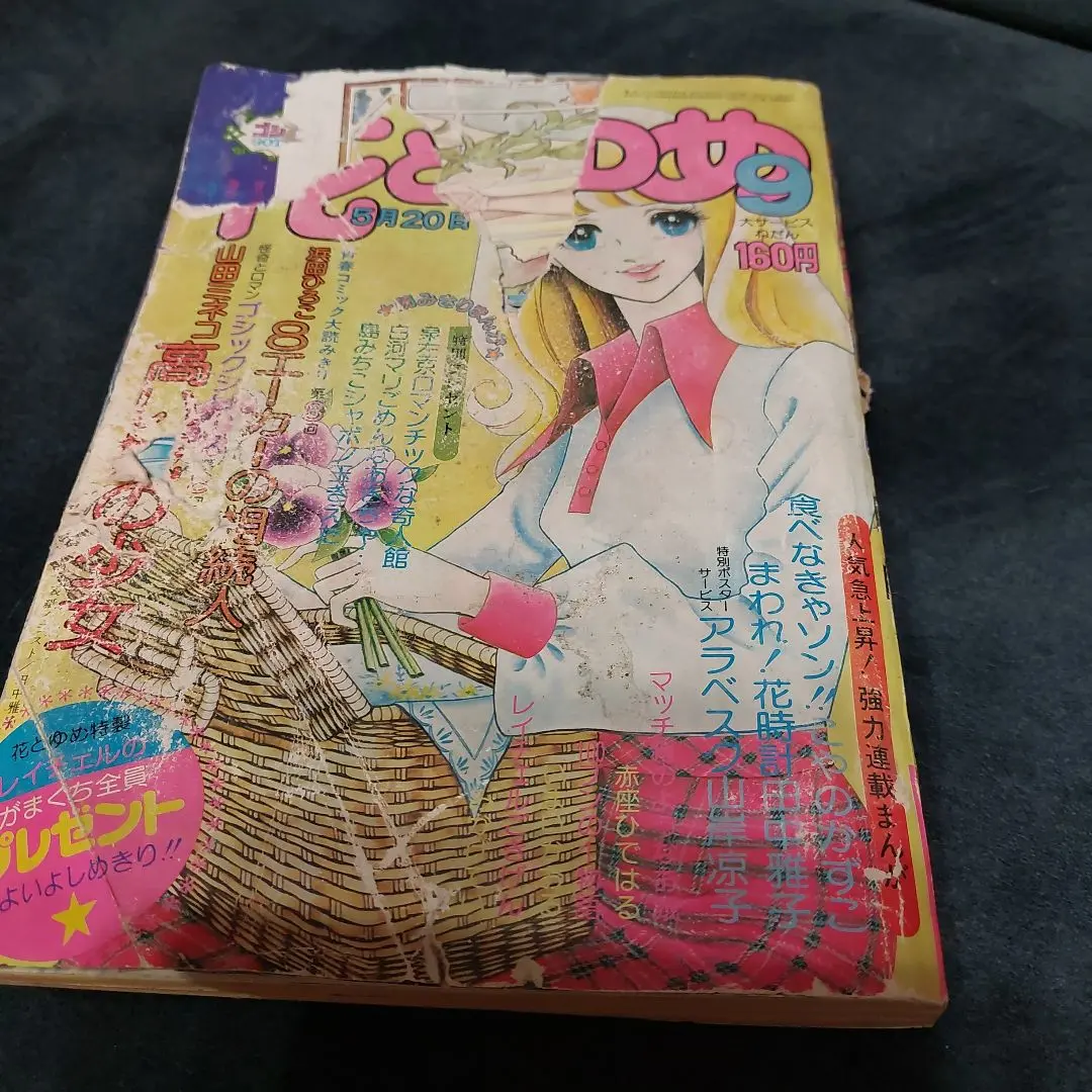 【入手困難】初版 「高い城の少女」 山田ミネコ 入手困難】初版 「高い城の少女」 山田ミネコ