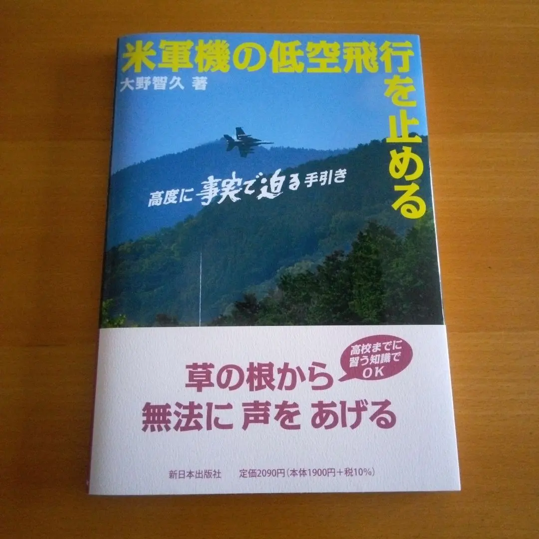 Thumbnail of Stopping Low-Altitude Flights of US Military Aircraft: A Practical Guide Based on Facts