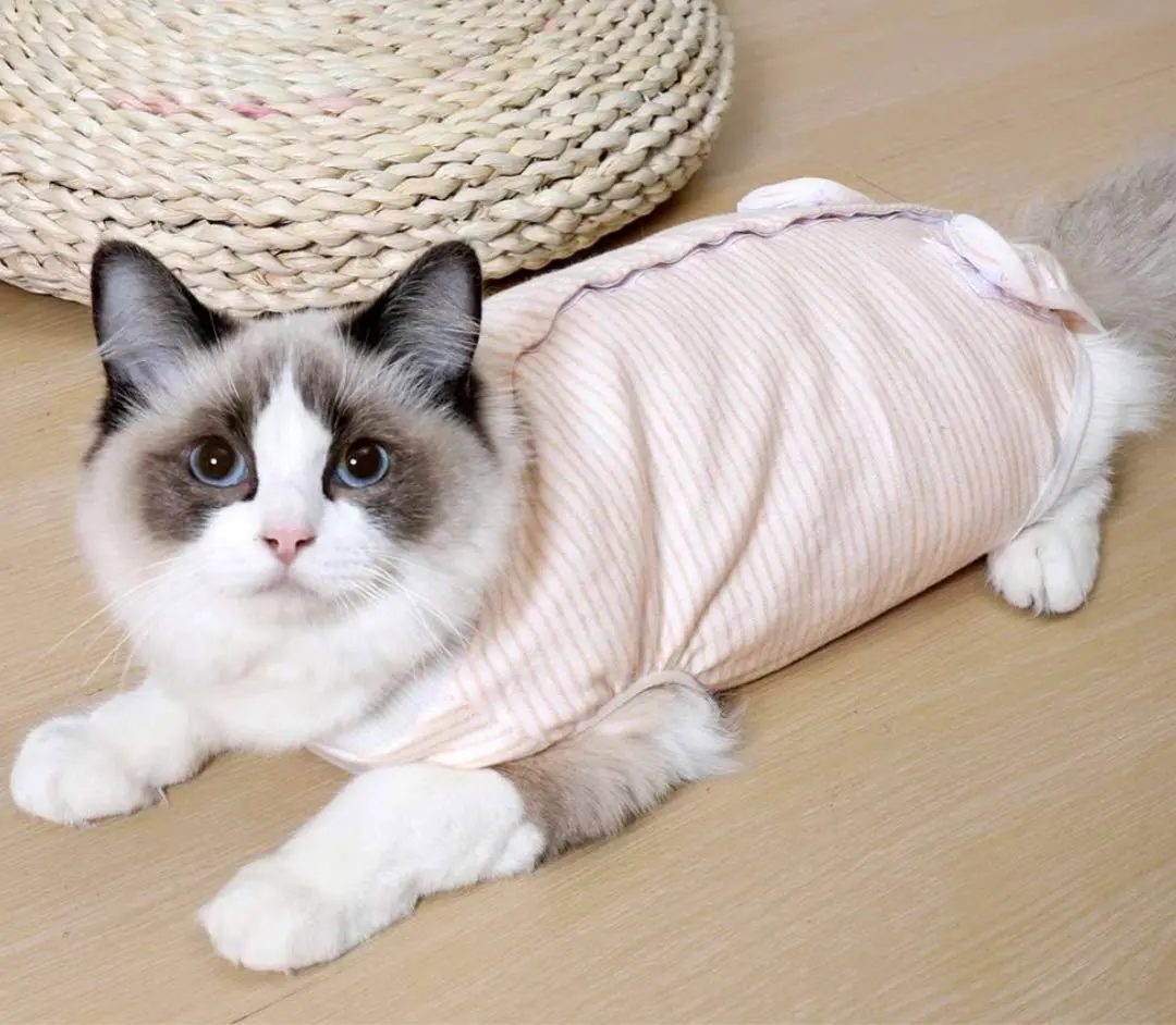 Thumbnail of Post-operative cat clothes S