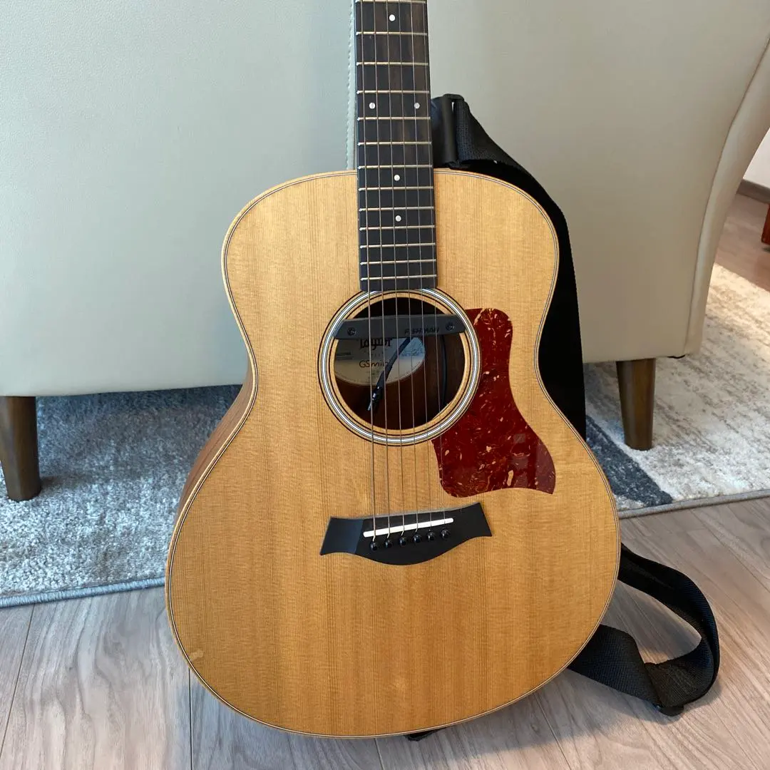 Taylor 510ce L9 （＋Fishman レアアースブレンド） Taylor 510ce L9 （＋Fishman レアアースブレンド）