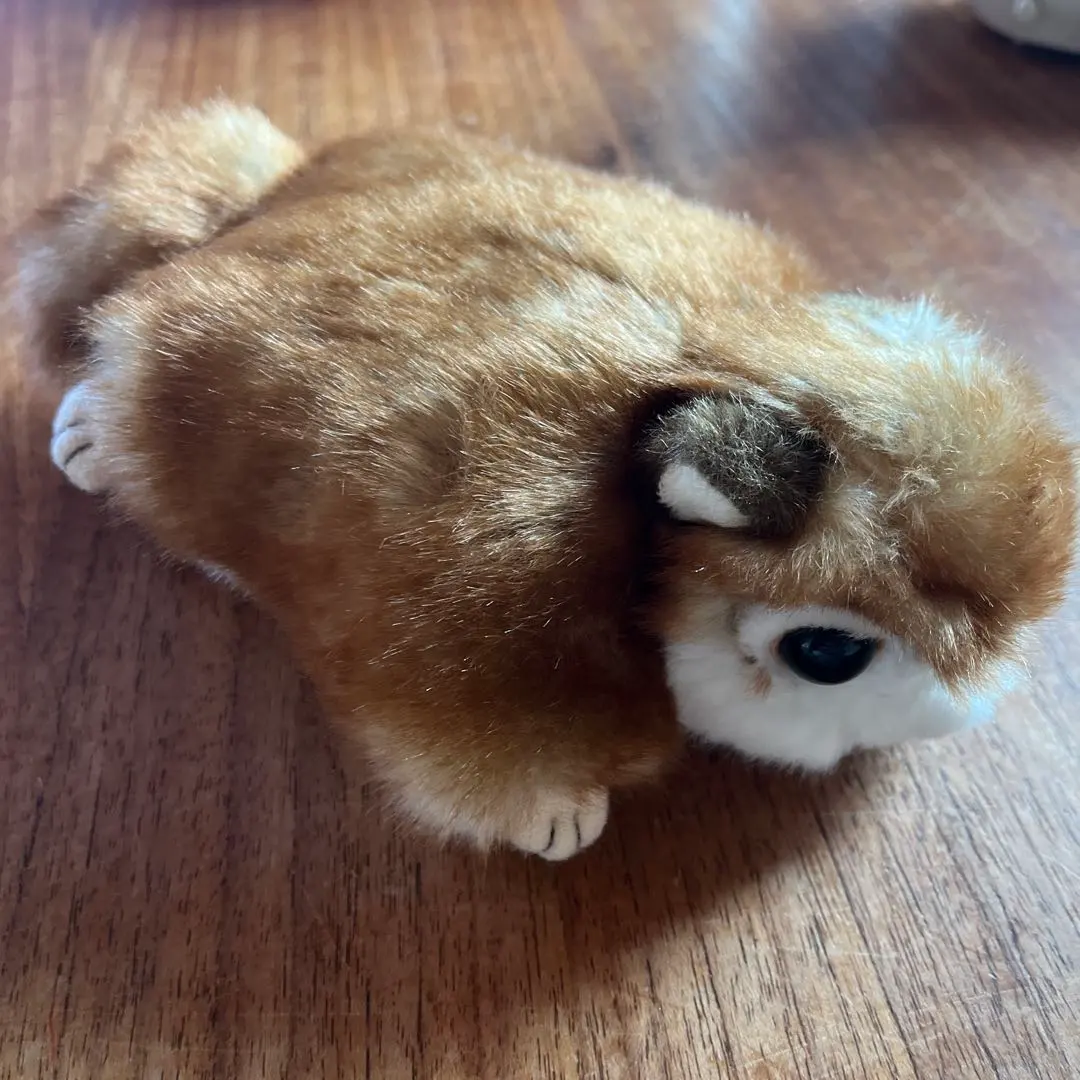 Thumbnail of Flying squirrel plushie