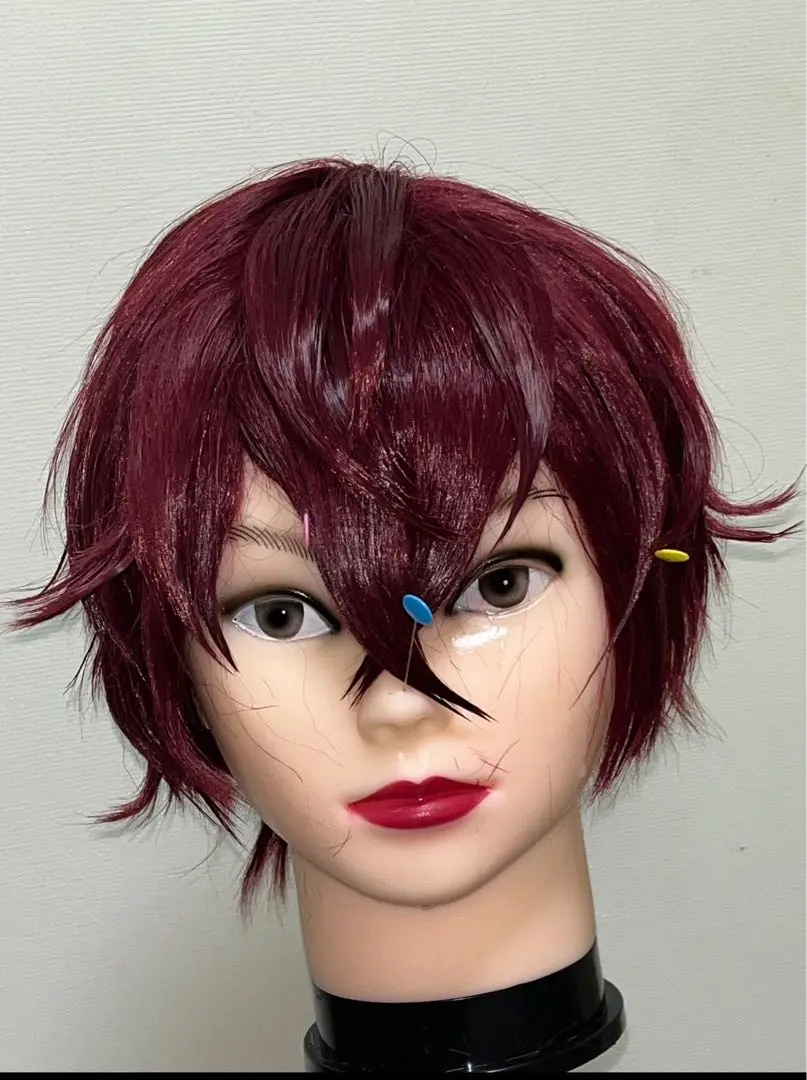 ミスラ　コスプレ　ウィッグつき　まほやく 魔法使いの約束 ミスラ コスプレ 衣装 ウィッグ