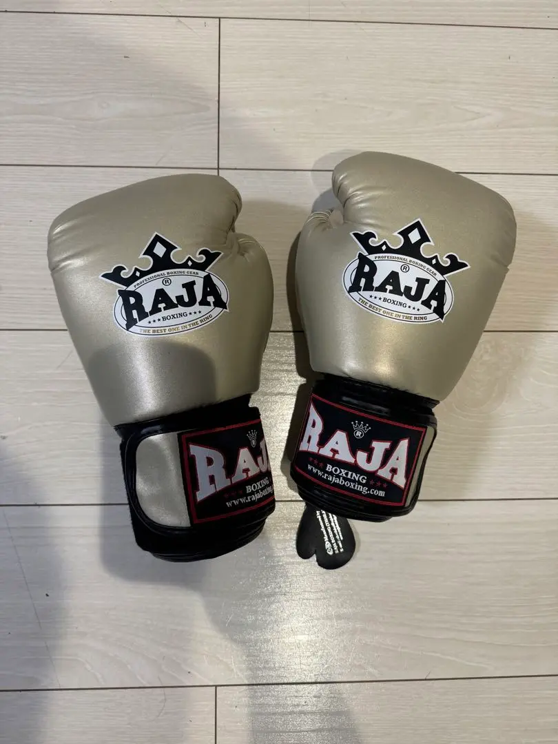 RAJAグローブピカチューpikachu twins fairtex