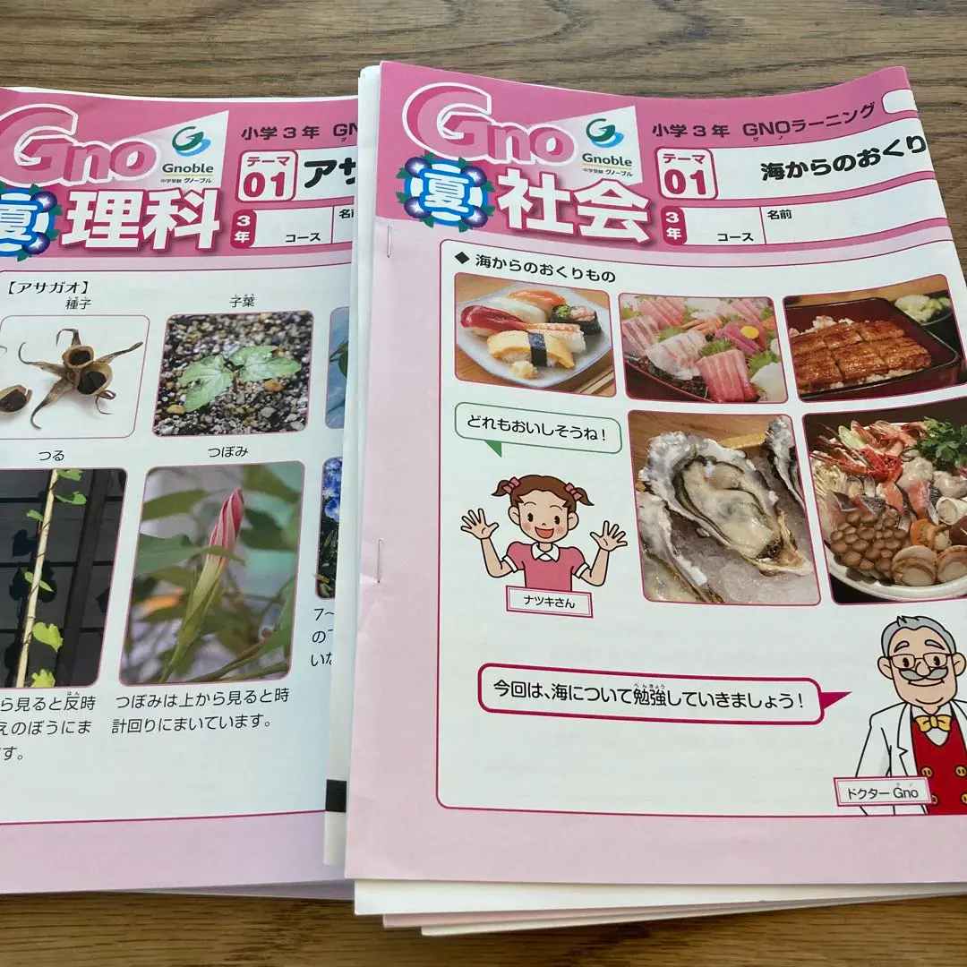 グノーブル 4年生 夏期講習 国語 算数 理科 社会 希学園 夏期講習 小4 国語 算数 理科 オリジナルテキスト 問題