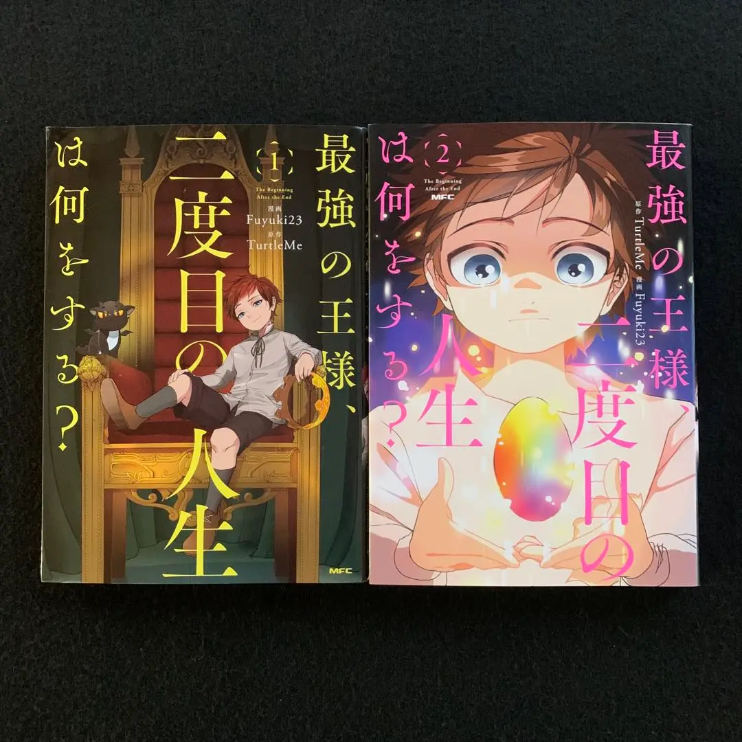 ◎2.3月新刊◎❖❖(全23冊)専用出品⑲❖❖ 楽天市場】セトクラフト S22-0522-GY 宅配BOX付ポスト U.S.