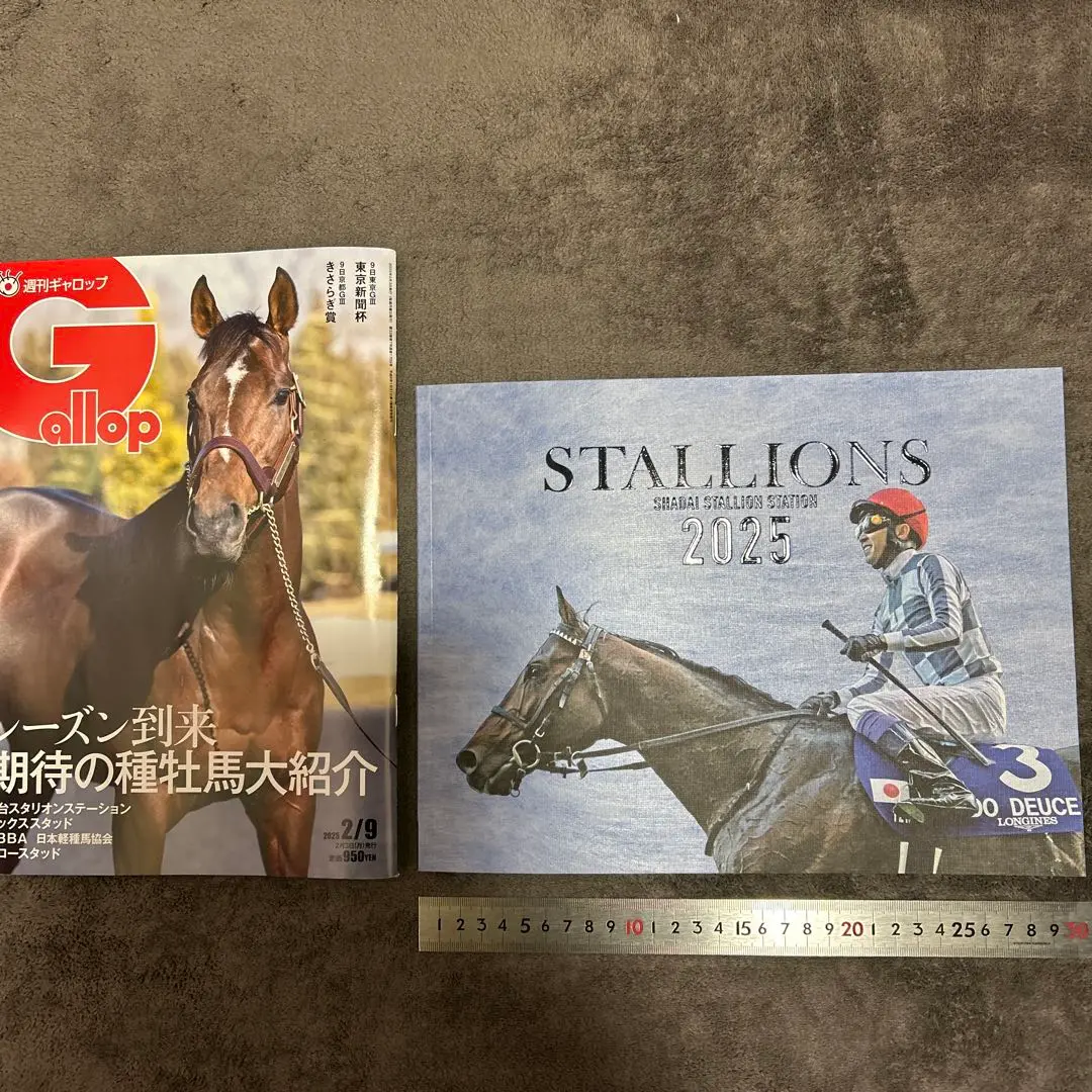 競走馬ハンドブック = THE RACEHORSE HANDBOOK 競走馬ハンドブック | 日本ウマ科学会 |本 | 通販 | Amazon