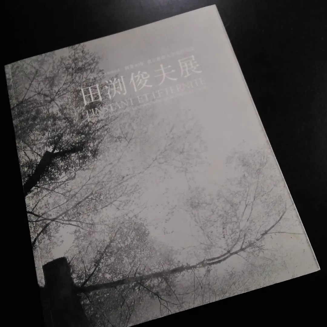 田淵俊夫、大和心象・大佛殿遠望、希少画集画、新品額装付 2025年最新】田淵俊夫の人気アイテム - メルカリ