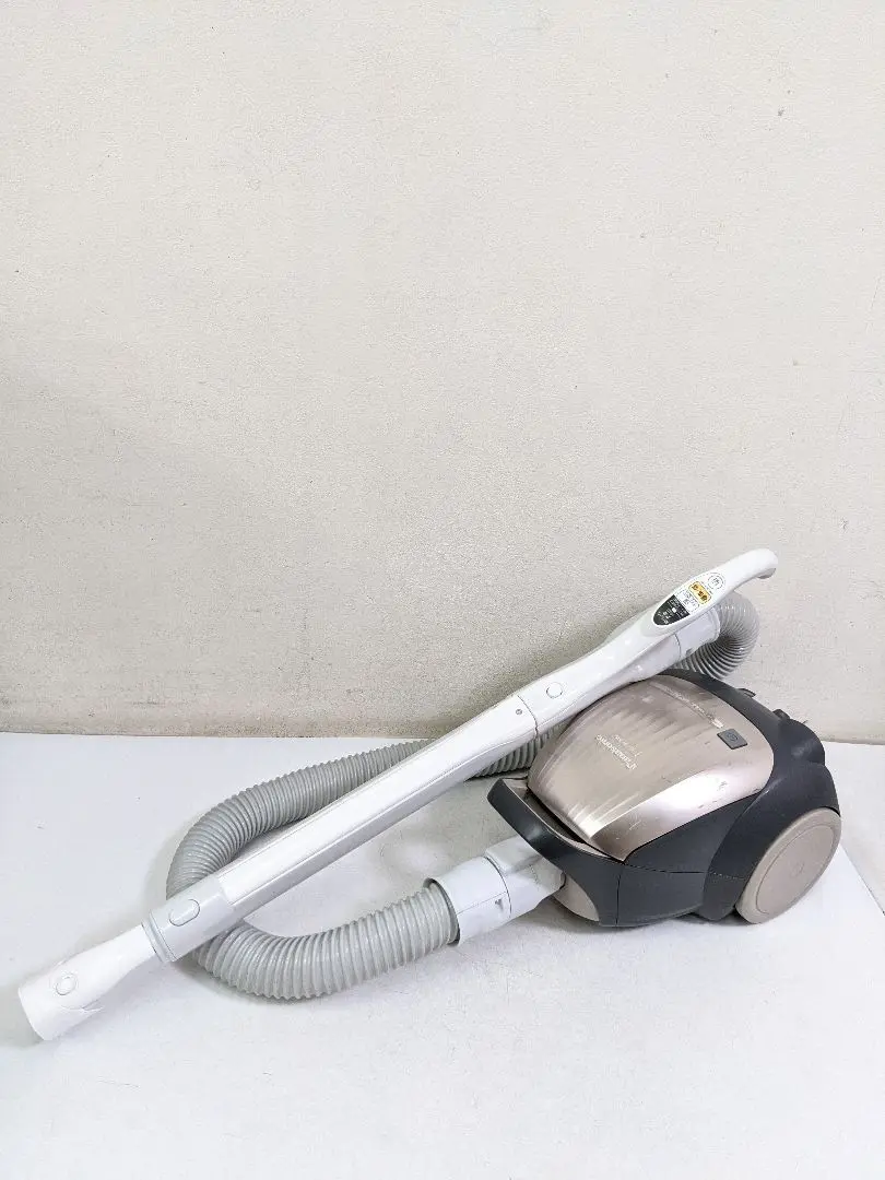 2025年最新】掃除機 紙パック パナソニック mc-pk20gの人気