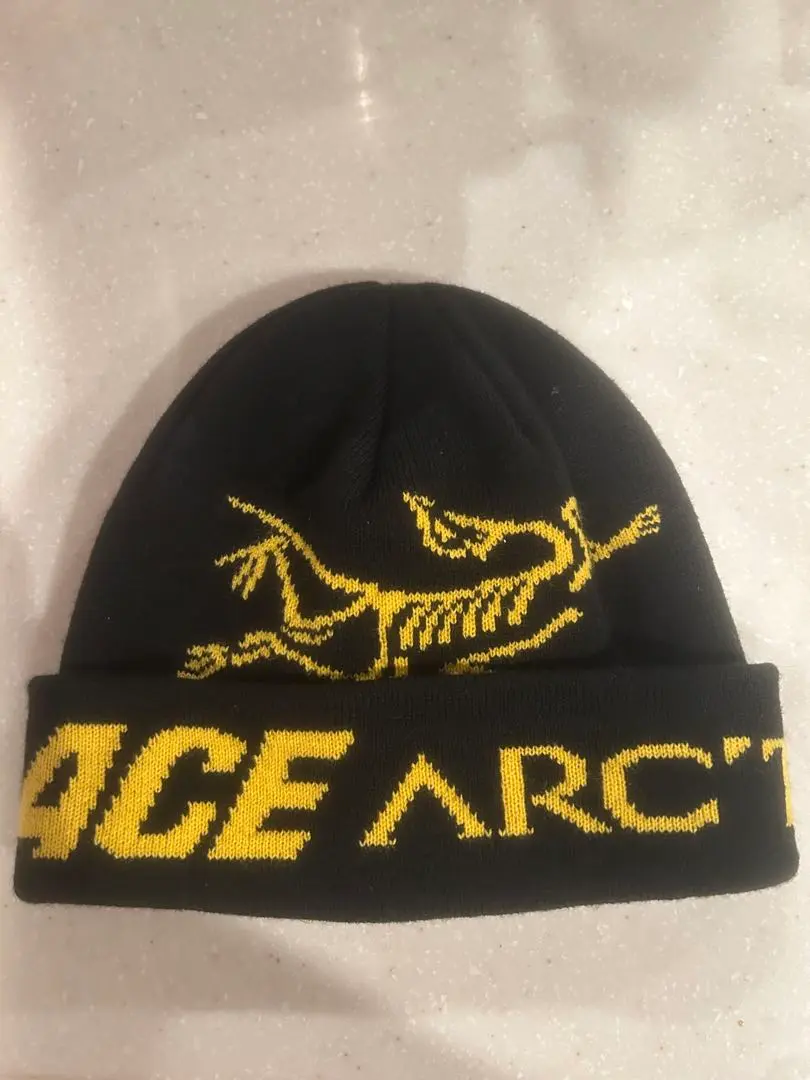 パレス　アークテリクス　ビーニー ARC'TERYX ARCTERYX × PALACE SKATEBOARDS / アークテリクス