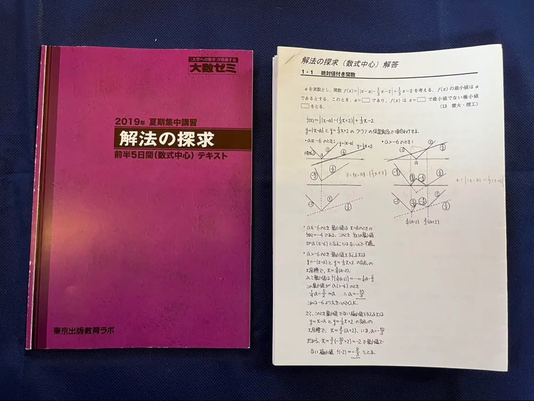 大数ゼミ　解法の探究　 前半5日間 (数式中心) テキスト　補充プリント付き。 2025年最新】大数ゼミ 解法の探求の人気アイテム - メルカリ