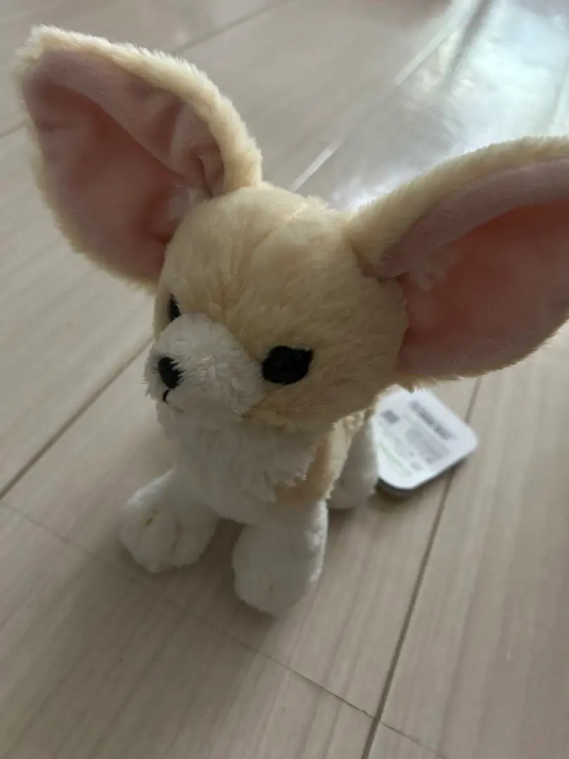 2025年最新】サンレモン フェネックの人気アイテム - メルカリ