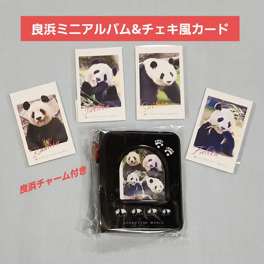 上野動物園 シャオシャオ＆レイレイ 4歳記念 タンブラー - メルカリ
