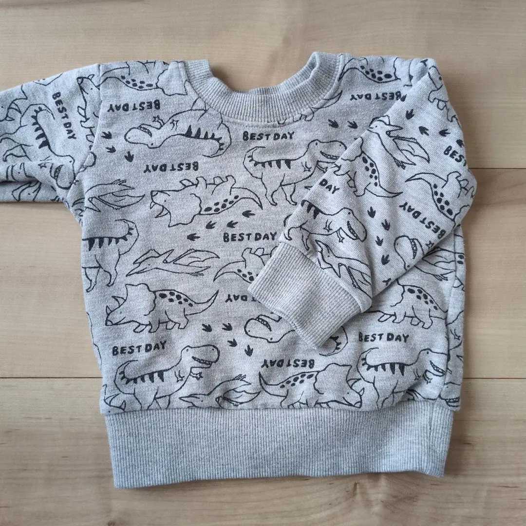 Thumbnail of Dinosaur Pattern Sweatshirt BEST DAY Gray Fleece Sweatshirt 80cm