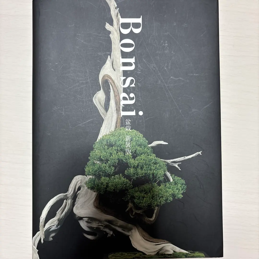 盆栽芸術 天 41eZPcNMG1L._UF350,350_QL50_.jpg