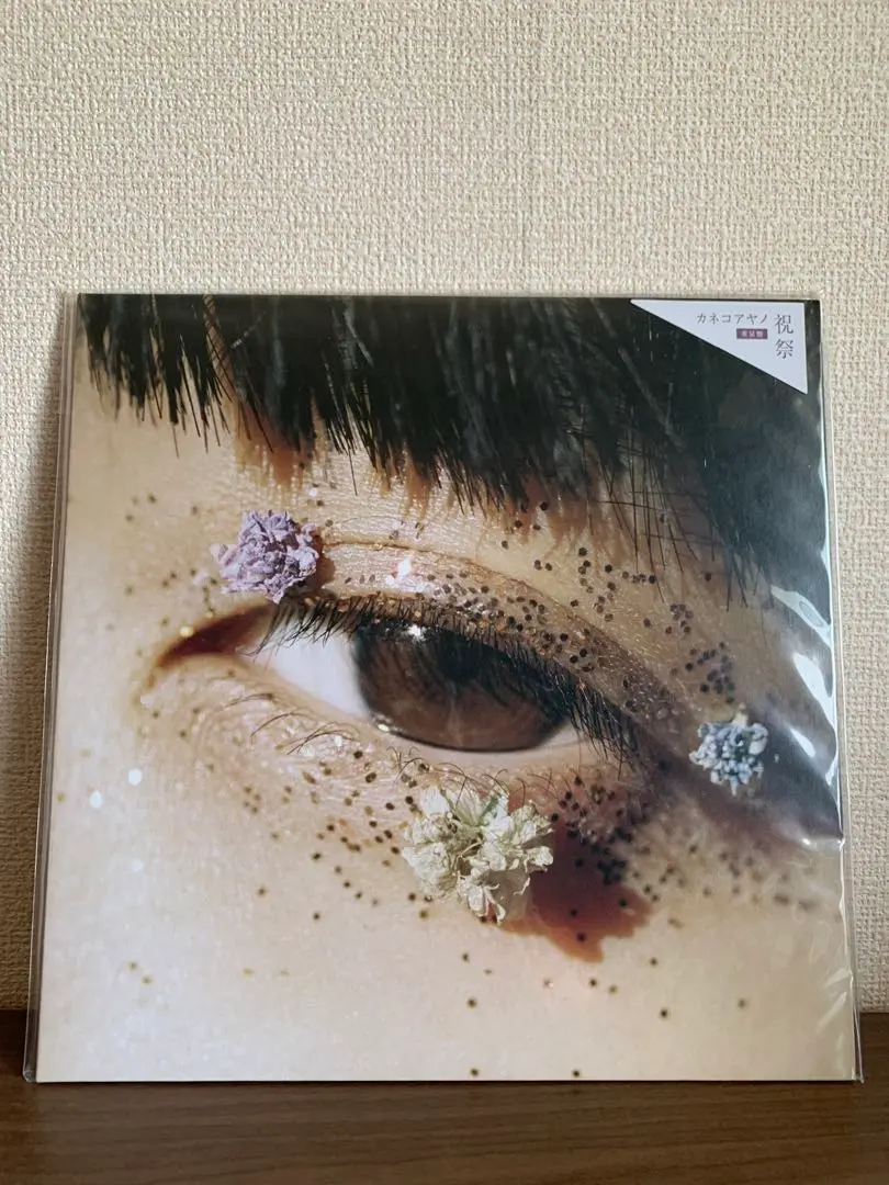 【未開封】　カネコアヤノ　祝祭　重量版　LP レコード カネコアヤノ 祝祭 レコード - メルカリ
