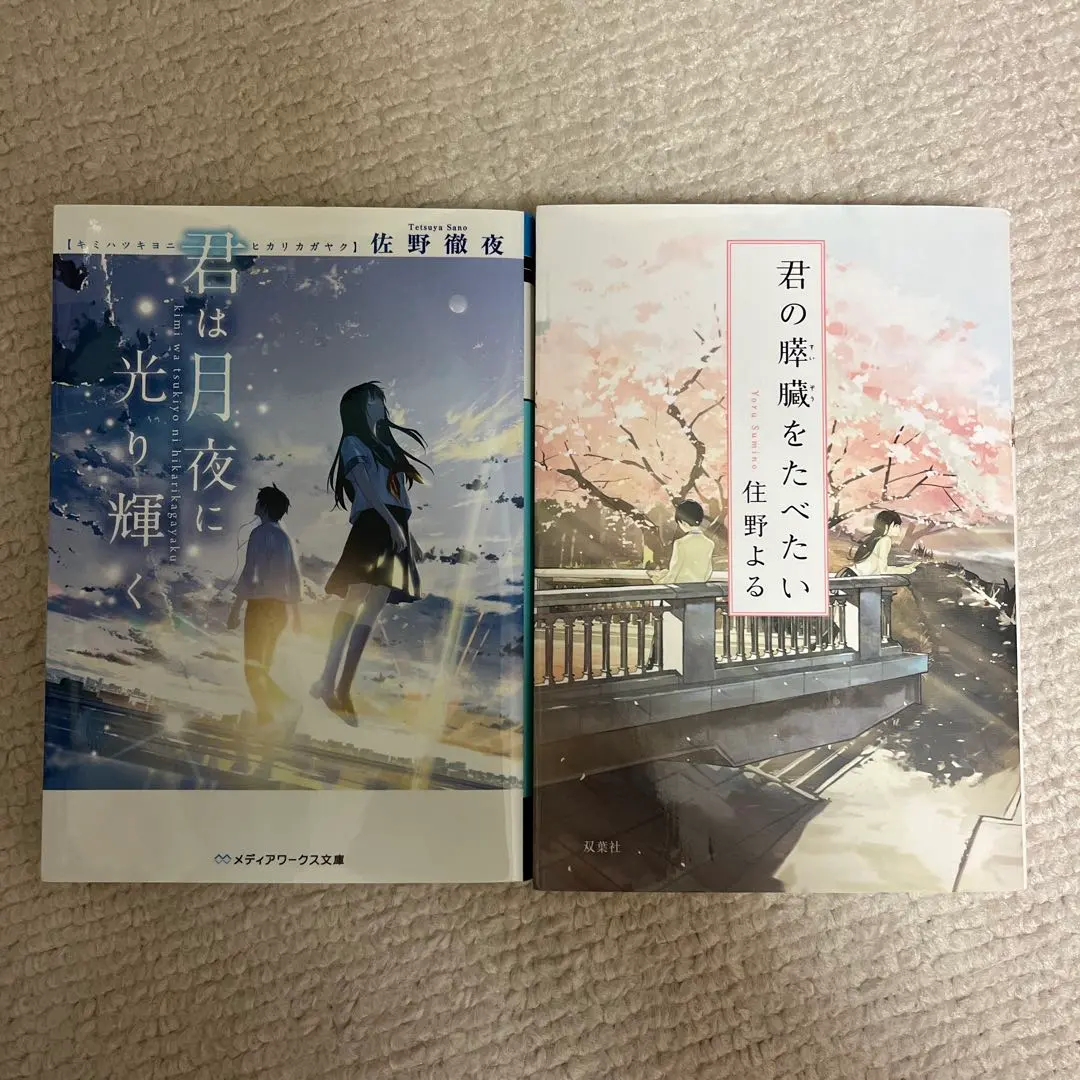 Thumbnail of Kimi wa Tsuki yo ni Hikari Kagayaku & Kimi no Suizou wo Tabetai 2-book set