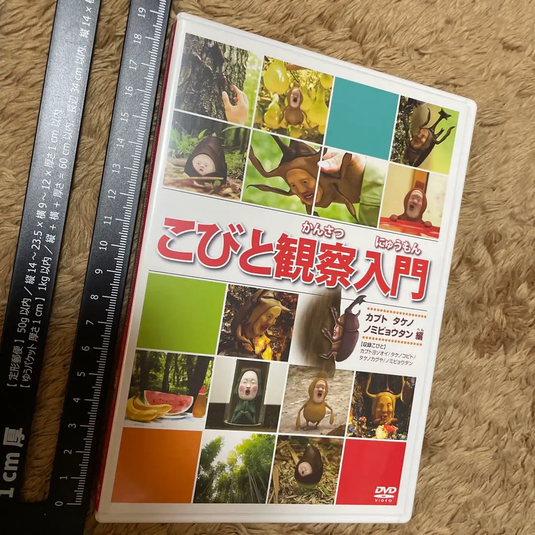R*N様 こびとづかん　全10巻　DVD こびとづかん 全10巻 ( こびと観察入門 全9巻 + こびと大研究