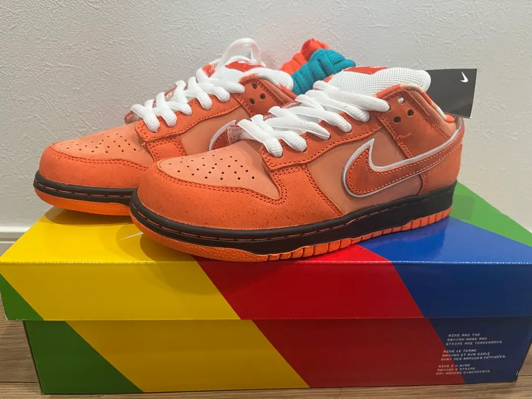 2025年最新】concepts × nike sb dunk low sp 