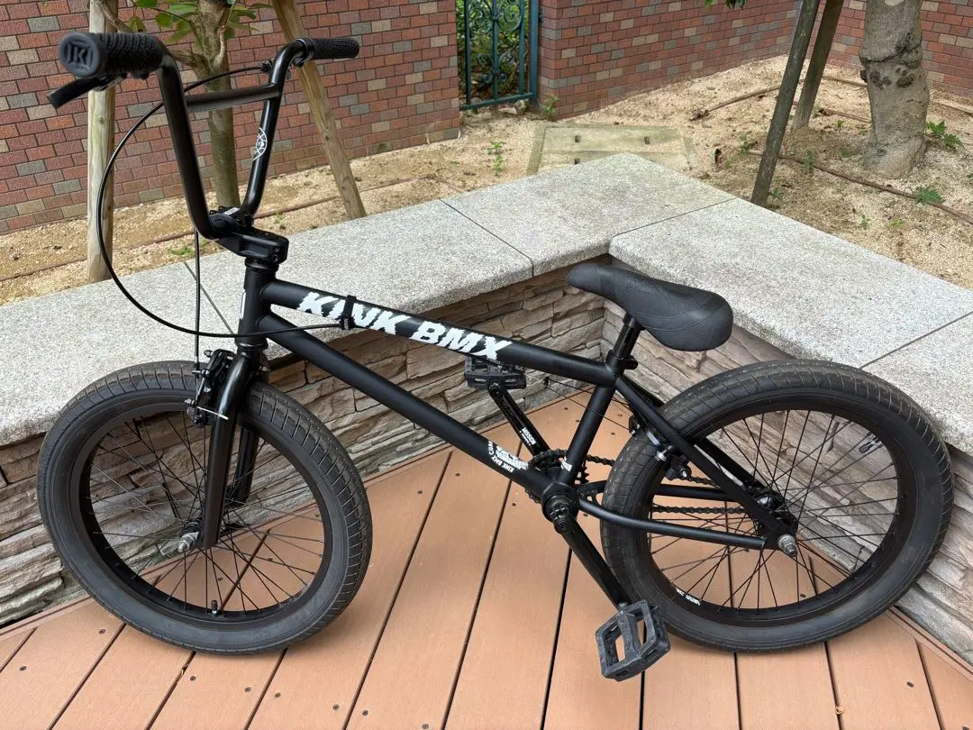 Kink Curb BMX Bike 2025 | Source BMX
