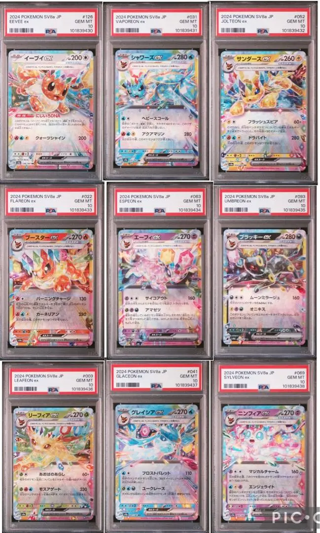 【PSA10】グレイシアEX RR PSA10】グレイシアex SAR 206/187の通販 土日祝休@magi公式