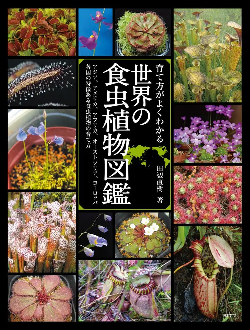 2025年最新】食虫植物 図鑑の人気アイテム - メルカリ