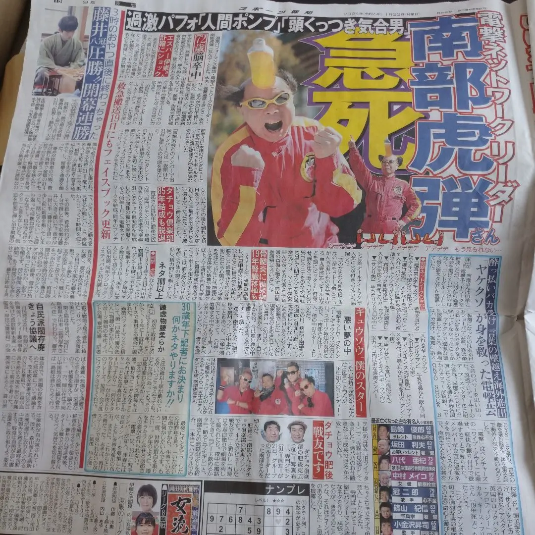 2025年最新】南部_虎弾の人気アイテム - メルカリ