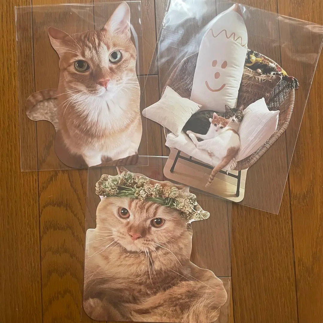 石田ゆり子&Closs&Cross ハニオ猫イラストTシャツとキーホルダーセット 2025年最新】石田ゆり ハニオの人気アイテム - メルカリ