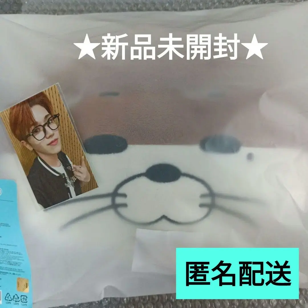 BOYNEXTDOOR プネクド　クッション　ハンテップン　テサン BOYNEXTDOOR プネクド クッション 4個セット｜Yahoo!フリマ（旧