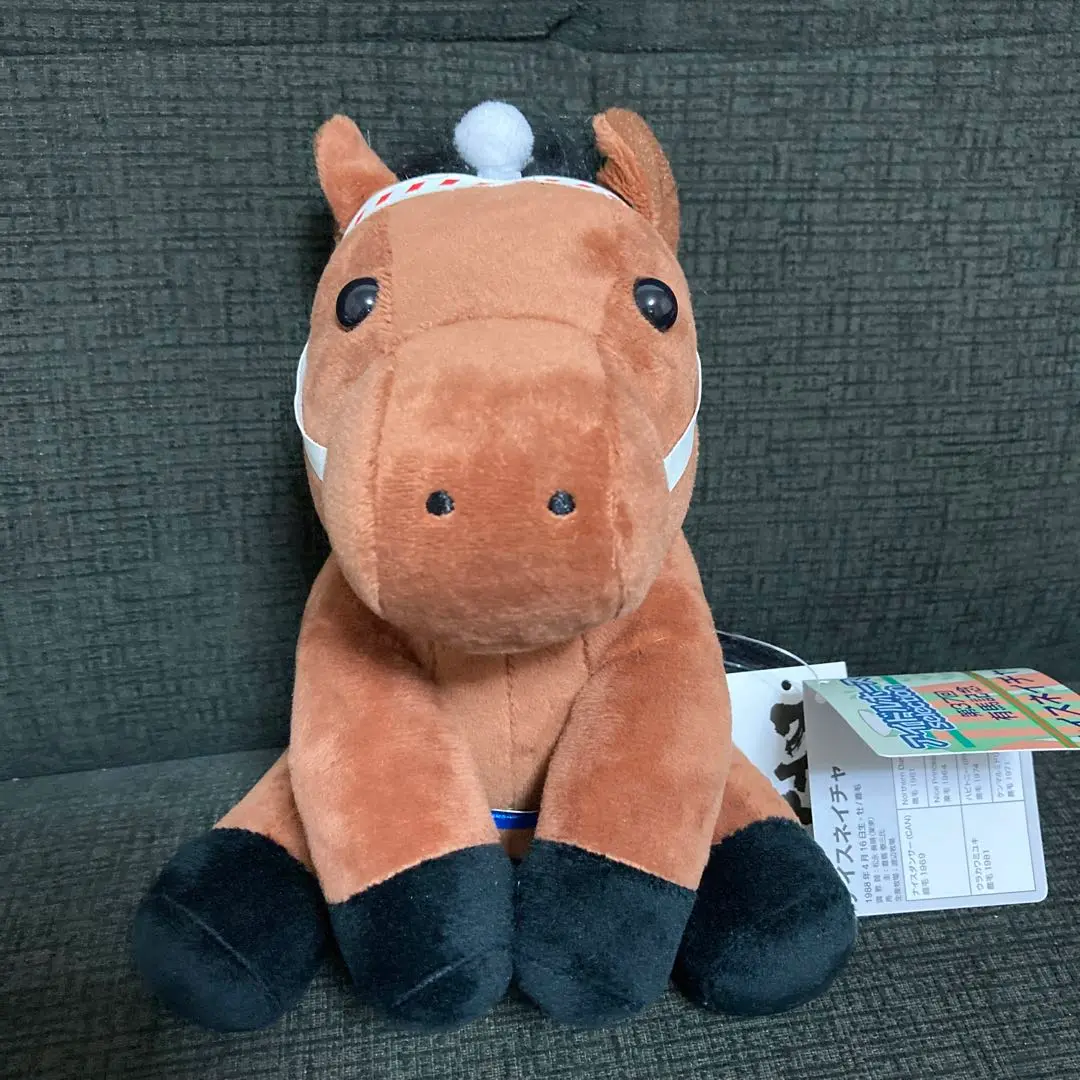 競馬　アイドルホース　オルフェーヴル　優駿BEST100 未使用　Mサイズ Amazon.co.jp: オルフェーヴル 優駿Best100 アイドルホース