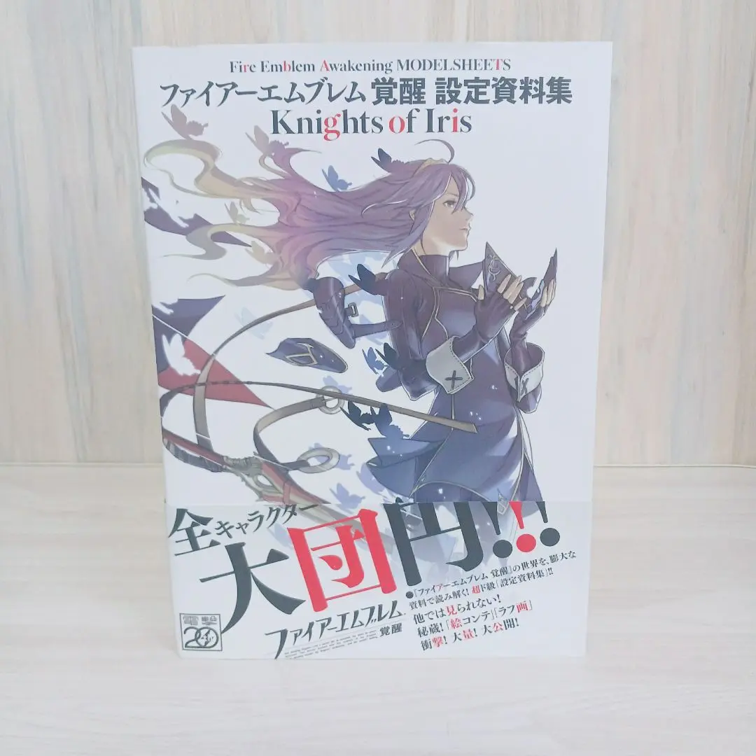 2025年最新】ファイアーエムブレム 覚醒 設定資料集の人気