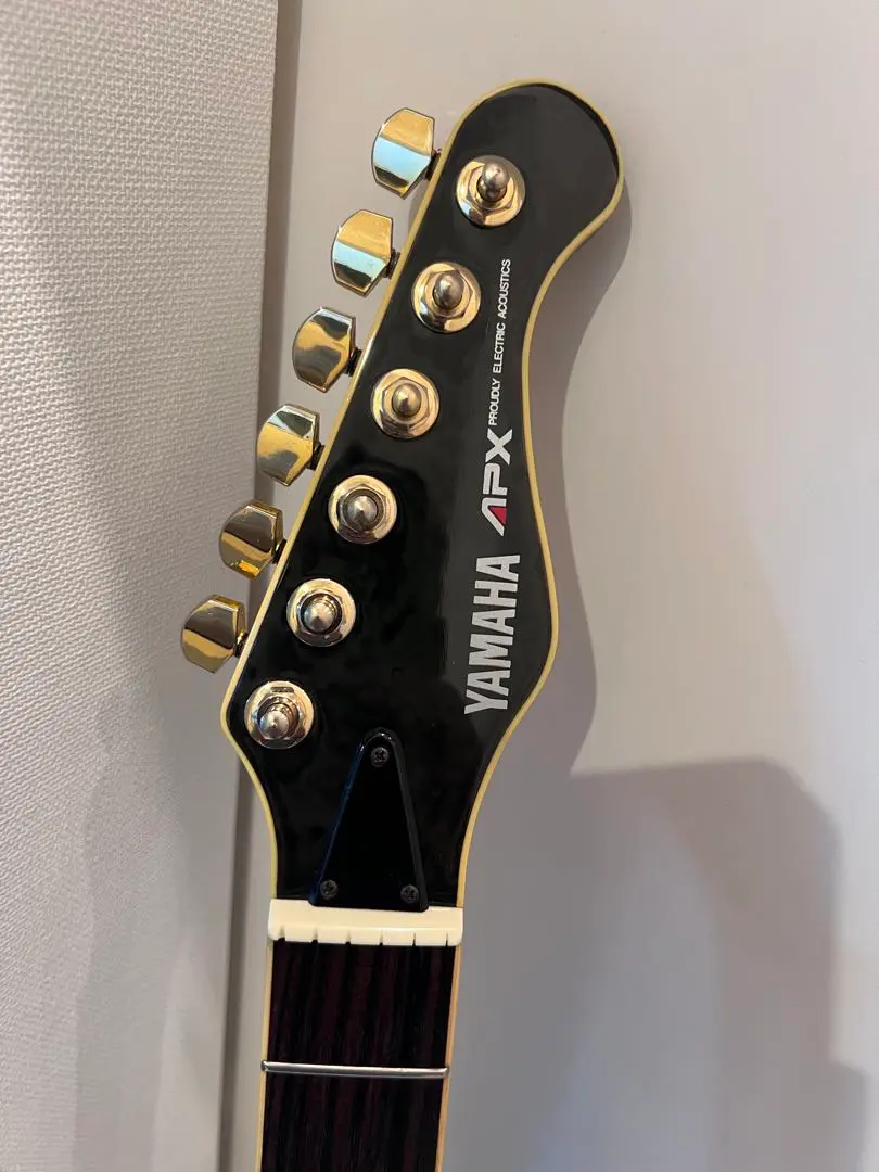 2025年最新】YAMAHA APX-10の人気アイテム - メルカリ