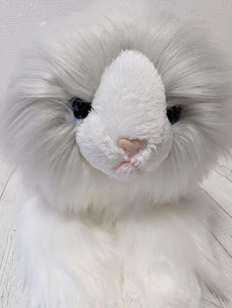 サンレモン ひざねこ ラグドール　M ねこぐるみ ぬいぐるみ　猫　ネコ サンレモン ひざねこ ラグドール Mサイズ ねこぐるみ ぬいぐるみ