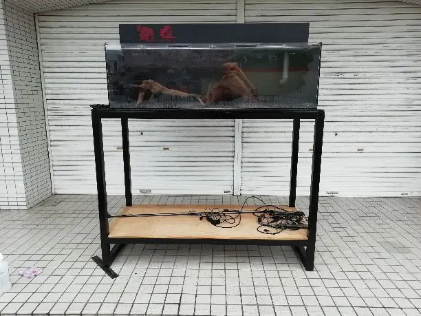 2025年最新】カンテツ 水槽の人気アイテム - メルカリ