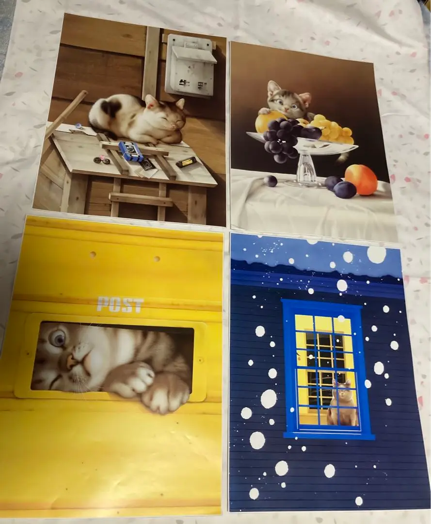 Amazon.co.jp: 村松誠 ポストカードブック ー猫ー : 村松 誠: 本