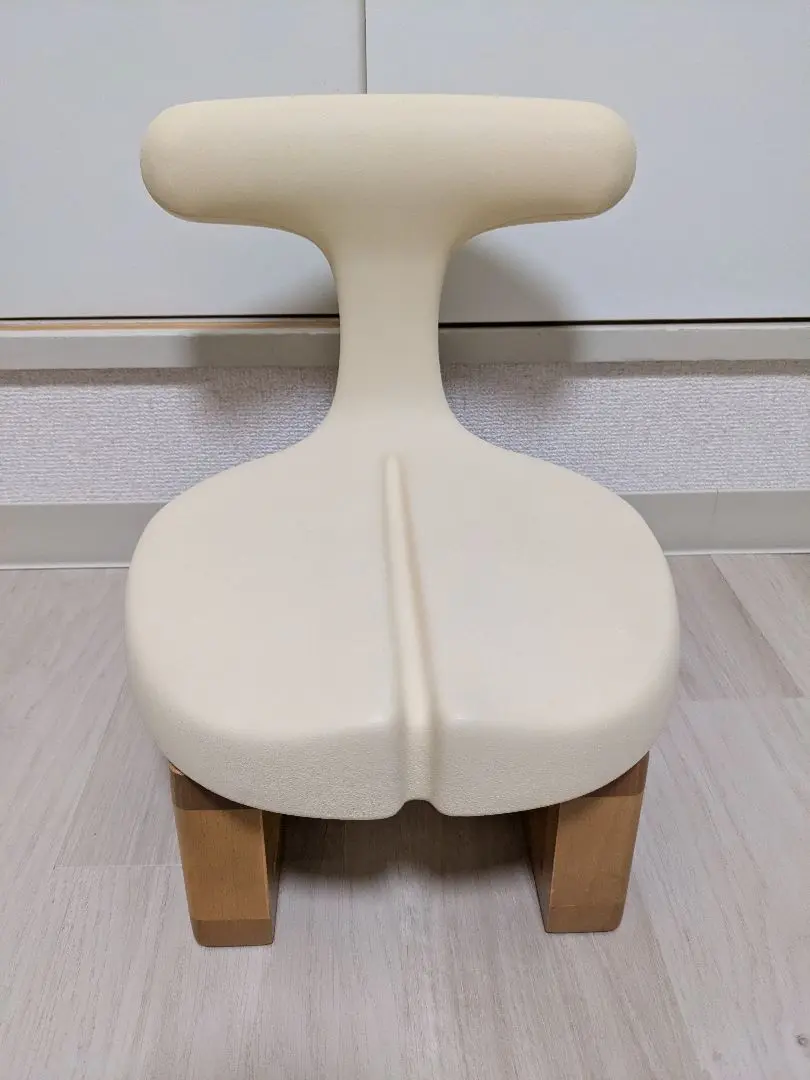 【未使用級◆35,200円】アーユルチェア あぐらイス/メディカルシート2Way アーユル・チェアー ayur-chair あぐらイス 座イスタイプ W300