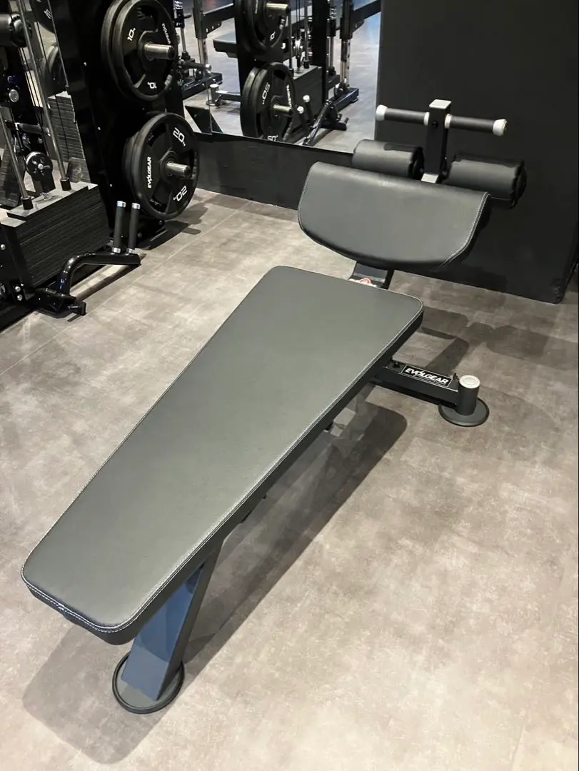 EVOLGEAR 　エボルギア　プレート 10kg 5kg 2.5kgセット EVOLGEAR エボルギア プレート 10kg 5kg 2.5kgセット ダンベル