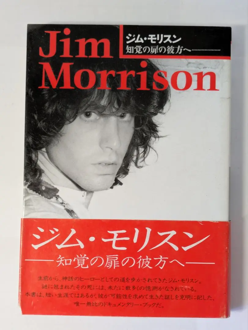 大人の為のセレクトブックス:ビリー・ジョエル詩集初版、ジム・モリスン他十冊セット 大人の為のセレクトブックス:ビリー・ジョエル詩集初版、ジム