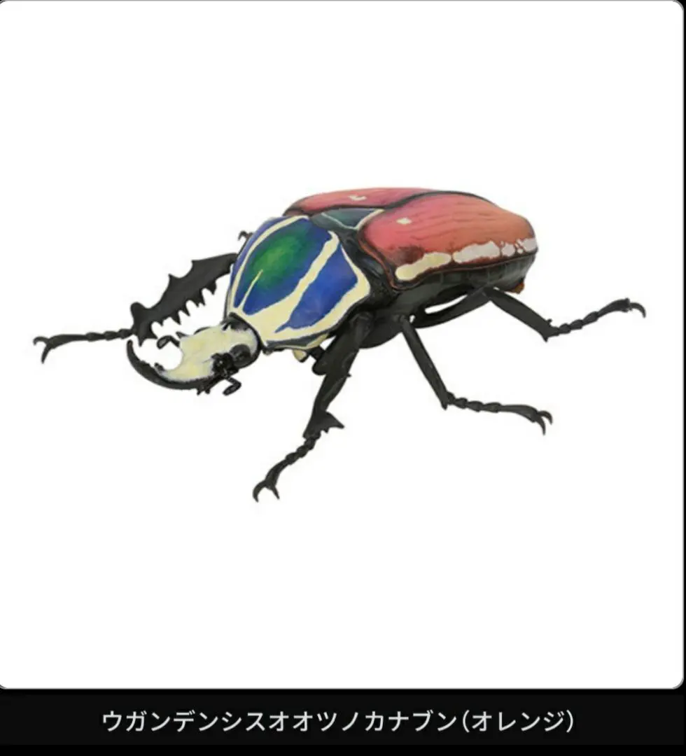 m60087795281_1.jpg?1747345970