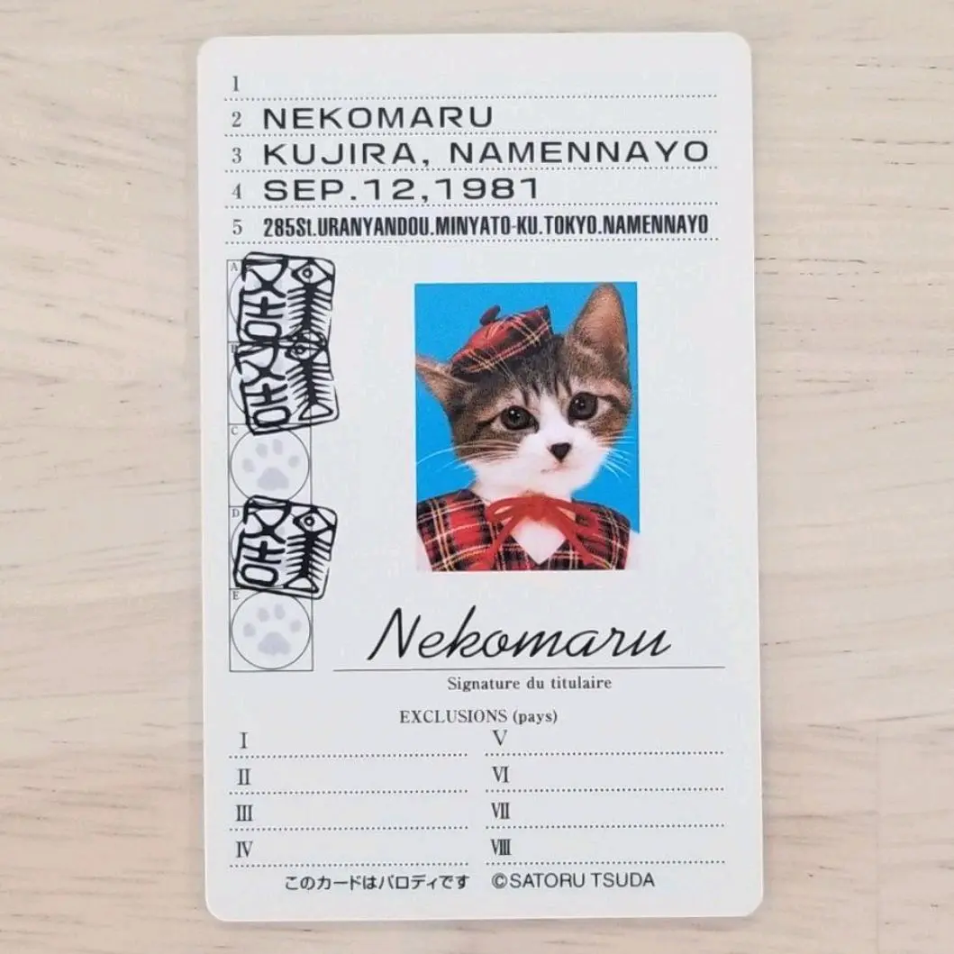 2025年最新】なめ猫 写真集の人気アイテム - メルカリ