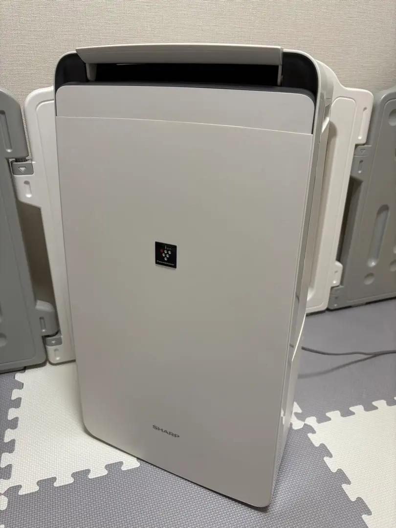 m60569746302_1.jpg?1741099380