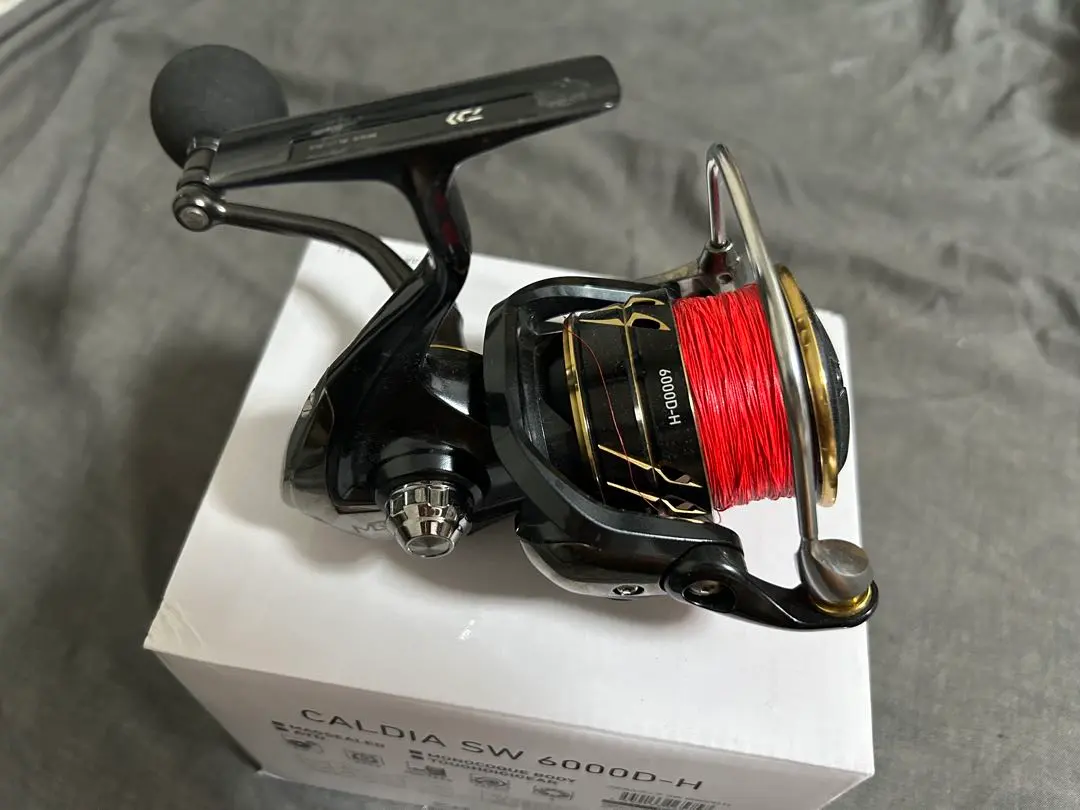 未使用 ダイワ CALDIA SW 6000D-H スピニングリール ダイワ スピニングリール 22カルディア SW 6000D-H(6000D-H): リール