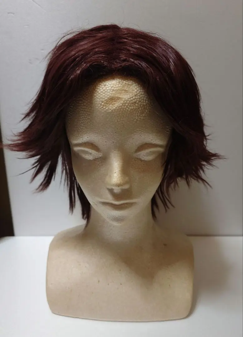 菊丸英二　コスプレ　カット済みウィッグ Amazon.co.jp: W573 テニス 菊丸英二 きくまる えいじ コスプレ