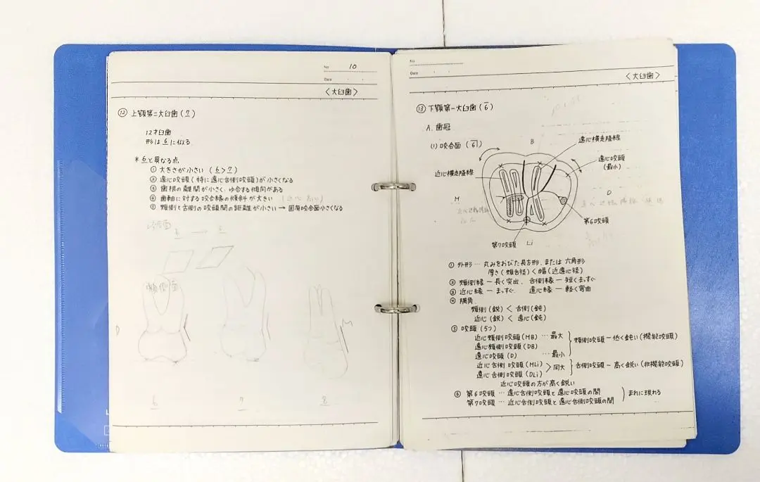標準外科学　16版 標準外科学 第16版 (STANDARD TEXTBOOK) | 北野 正剛, 坂井 義治