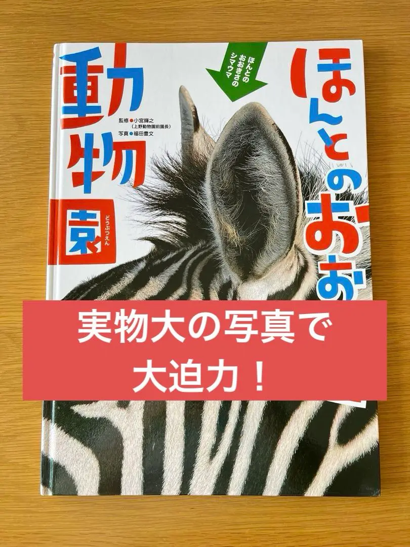 2025年最新】ほんとのおおきさ動物園の人気アイテム - メルカリ