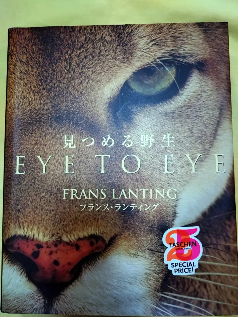 見つめる野生　フランス・ランディング 見つめる野生 Eye to Eye 25周年 | フランス・ランティング |本