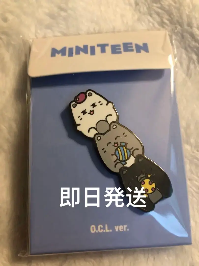 SEVENTEEN MINITEEN ぬいぐるみ　大 ジュン ヨルダッチャム MINITEEN ジュン ぬいぐるみ ヨルダッチャム ミニティーン