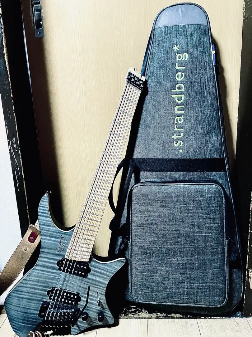 2025年最新】Strandberg 7弦の人気アイテム - メルカリ