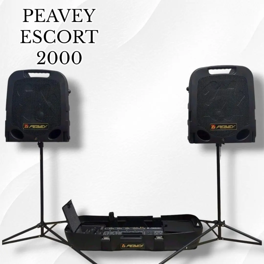 2025年最新】peavey escortの人気アイテム - メルカリ
